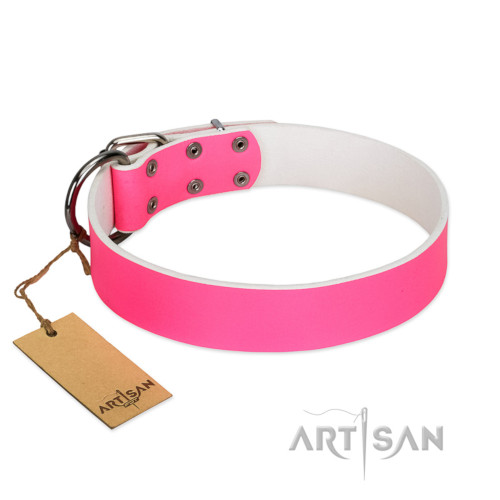 シベリアンハスキー　犬　用品