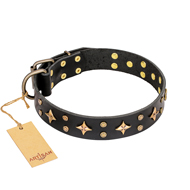 ‘A La Mode’ FDT Artisan スタッズ付 40mm本革製 犬用首輪 ‘A La Mode’ FDT Artisan スタッズ付 40mm本革製 犬用首輪