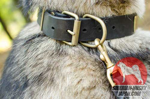 犬の散歩用の金属装飾付きの革製首輪