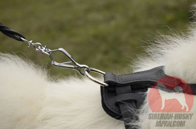シベリアンハスキー　グッズ　犬用ハーネス