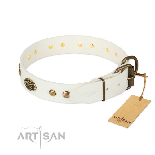 ハスキー犬　用品