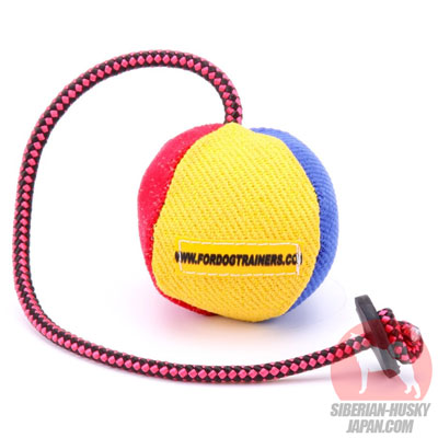 シベリアンハスキー　犬用品