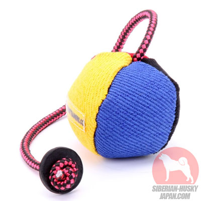 シベリアンハスキー　おもちゃ