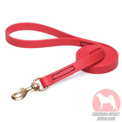 ハスキー　犬用品　販売