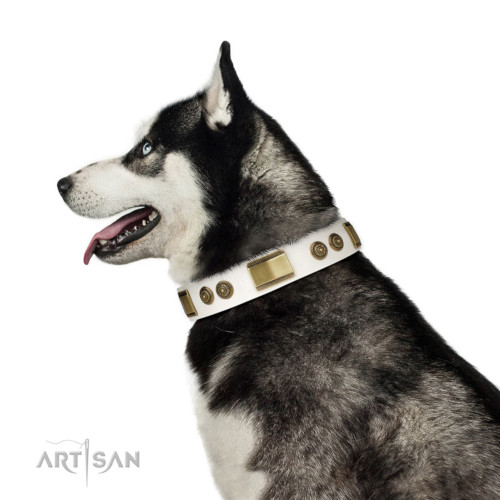 シベリアンハスキー　犬用品