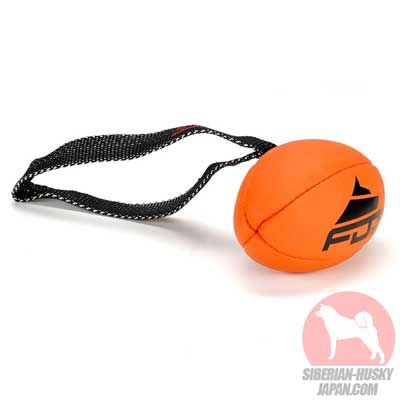 ハスキー　おもちゃボール