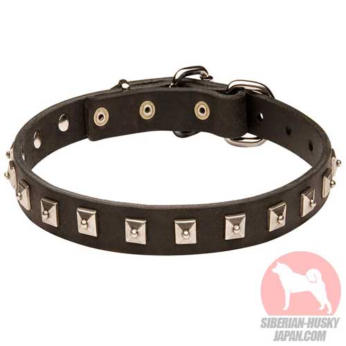 犬　首輪　スタッズ